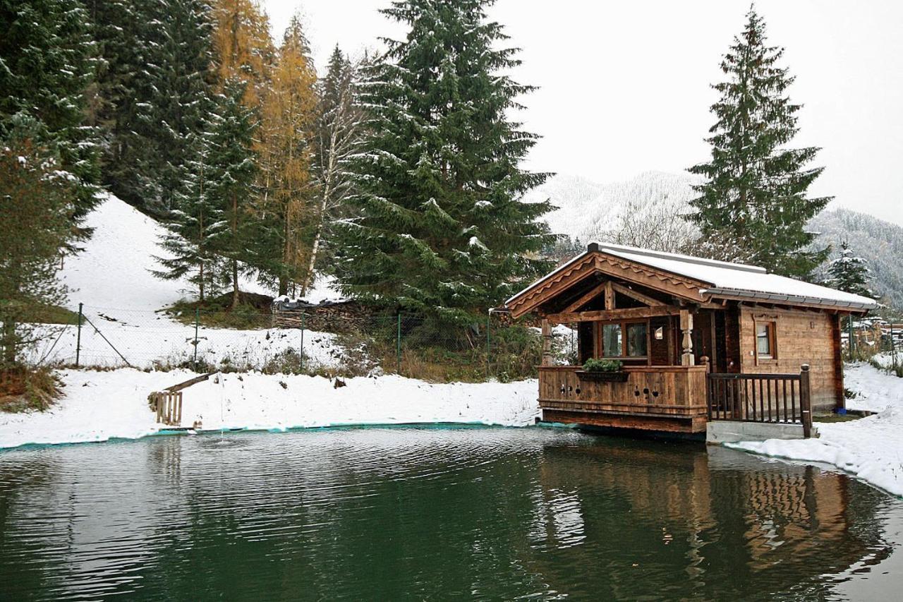 Vila Almliesl Holl-559 Hollersbach im Pinzgau Exteriér fotografie